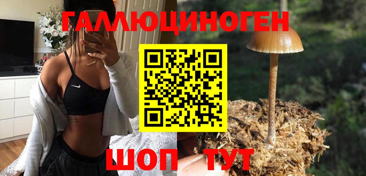 Галлюциногенные грибы мицелий  Вход с VPN  Малоярославец 