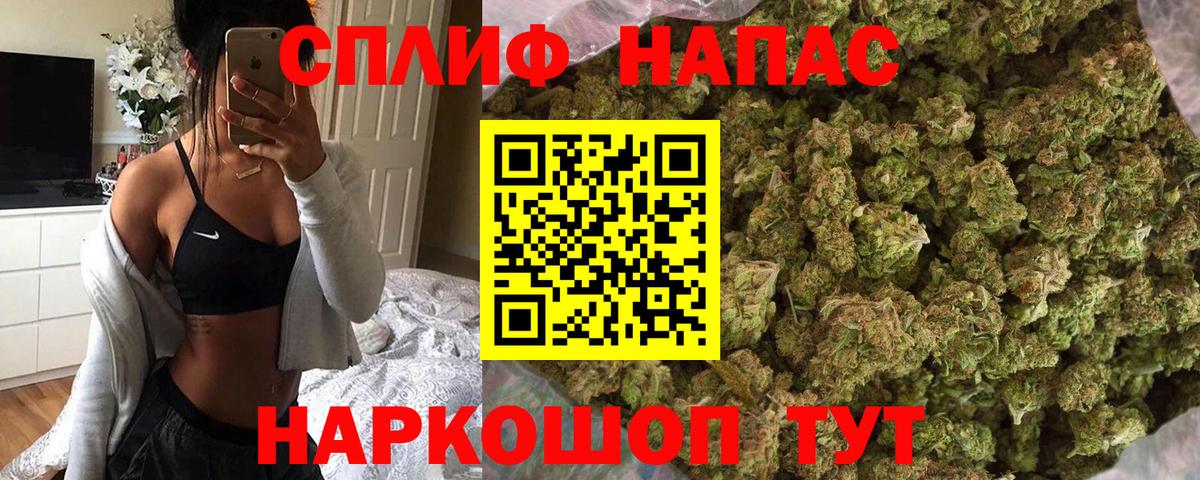 Конопля гибрид Малоярославец